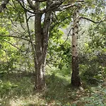 Casa de Férias 1142-ringkobing-laerkealle-11 *